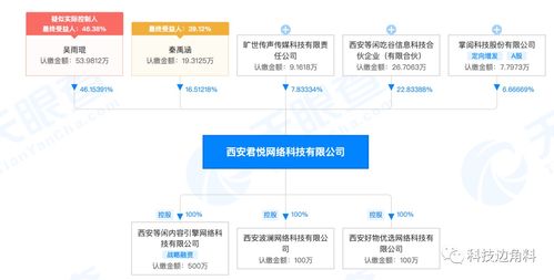 掌閱戰(zhàn)略投資西安君悅網(wǎng)絡(luò)，持股6.6666%，深化技術(shù)開發(fā)與銷售布局